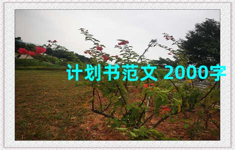 计划书范文 2000字